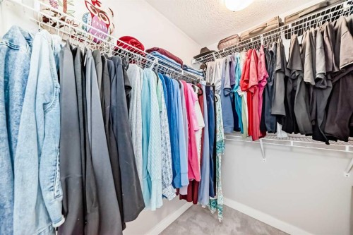1016 Lanark Boulevard Se, Airdrie, AB - Indoor With Storage
