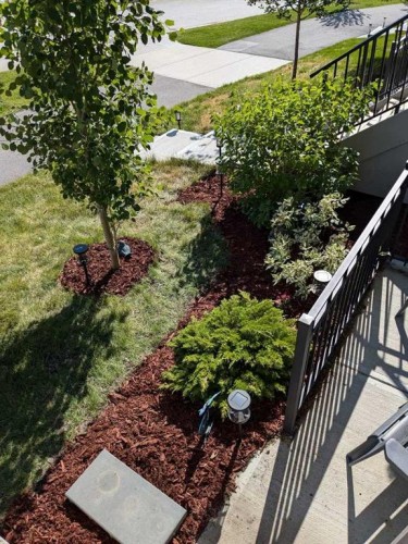 1016 Lanark Boulevard Se, Airdrie, AB - Outdoor