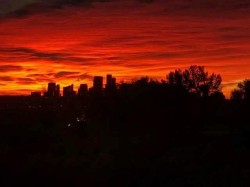 202-520 Cedar Crescent SW Calgary, AB T3C 2Y8