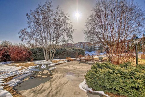 202-520 Cedar Crescent Sw, Calgary, AB - Outdoor With View
