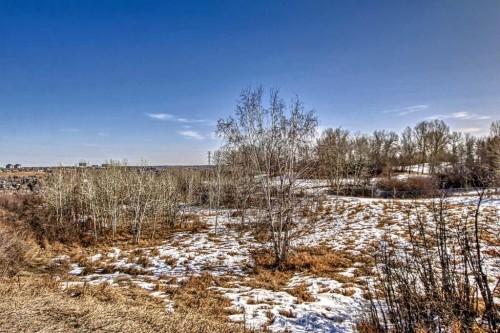 202-520 Cedar Crescent Sw, Calgary, AB - Outdoor With View