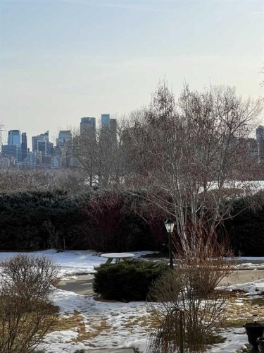 202-520 Cedar Crescent Sw, Calgary, AB - Outdoor With View