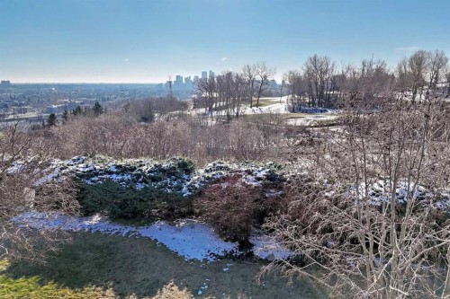 202-520 Cedar Crescent Sw, Calgary, AB - Outdoor With View