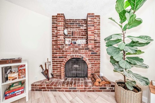 202-520 Cedar Crescent Sw, Calgary, AB -  With Fireplace