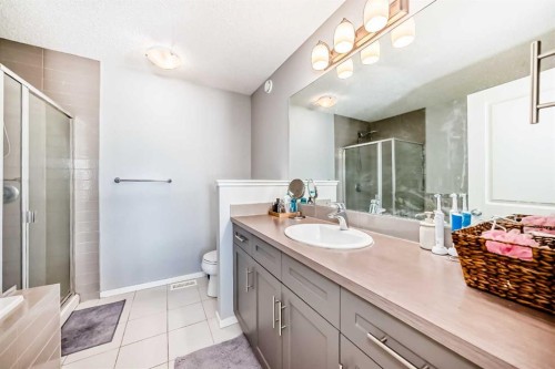 462 Walgrove Way Se, Calgary, AB - Indoor Photo Showing Bathroom