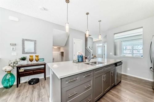 462 Walgrove Way Se, Calgary, AB - Indoor Photo Showing Kitchen With Double Sink