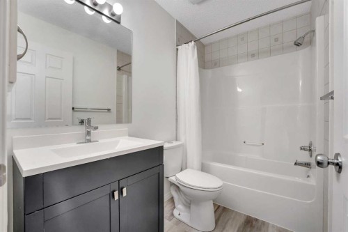 116 West Creek Glen, Chestermere, AB - Indoor Photo Showing Bathroom