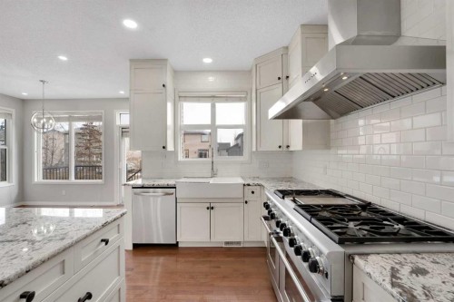 116 West Creek Glen, Chestermere, AB - Indoor Photo Showing Kitchen With Upgraded Kitchen