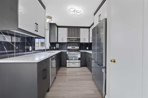 42 River Rock Road Se, Calgary, AB - Indoor Photo Showing Kitchen