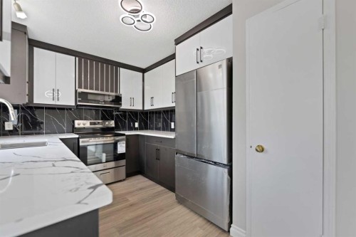 42 River Rock Road Se, Calgary, AB - Indoor Photo Showing Kitchen