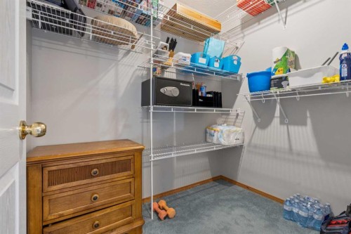 10 Bow Ridge Lane, Cochrane, AB - Indoor With Storage