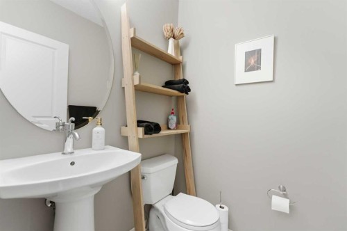 172 Auburn Bay Avenue Se, Calgary, AB - Indoor Photo Showing Bathroom