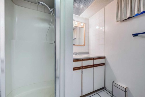 48 Westover Drive Sw, Calgary, AB - Indoor Photo Showing Bathroom