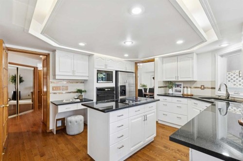 1442 Sunwood Road Se, Calgary, AB - Indoor Photo Showing Kitchen With Upgraded Kitchen