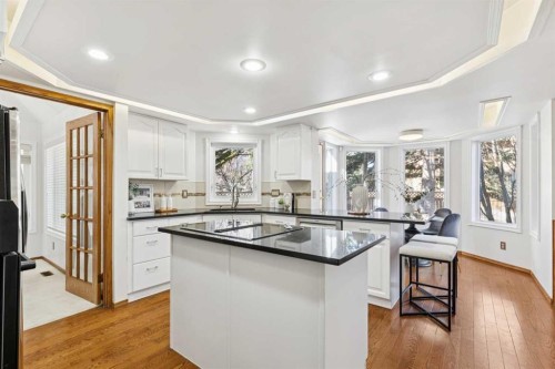 1442 Sunwood Road Se, Calgary, AB - Indoor Photo Showing Kitchen With Upgraded Kitchen