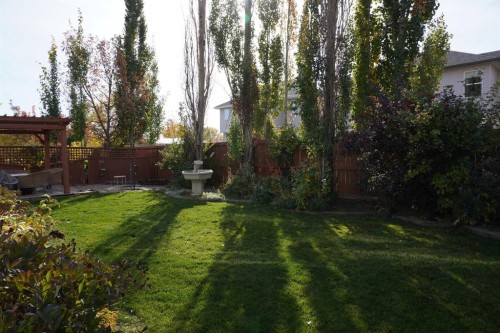 611 Cavendish Beach Bay, Chestermere, AB - Outdoor