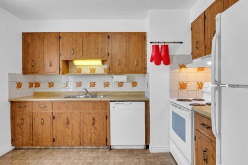 5008 2 Street Nw, Calgary, AB - Indoor Photo Showing Kitchen With Double Sink