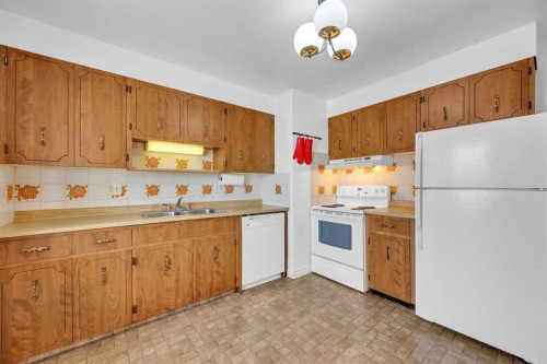 5008 2 Street Nw, Calgary, AB - Indoor Photo Showing Kitchen With Double Sink
