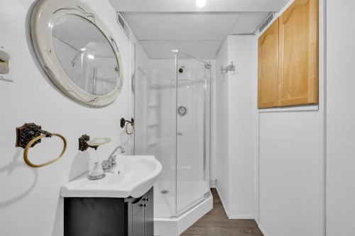 5008 2 Street Nw, Calgary, AB - Indoor Photo Showing Bathroom