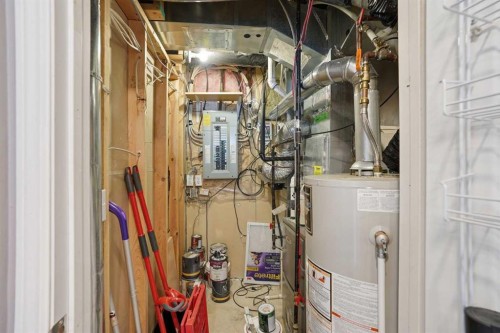 161 Douglas Glen Heath Se, Calgary, AB - Indoor Photo Showing Basement