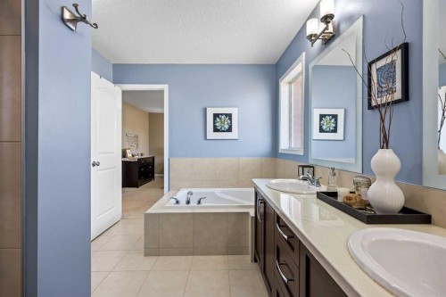 211 Mountainview Drive, Okotoks, AB - Indoor Photo Showing Bathroom