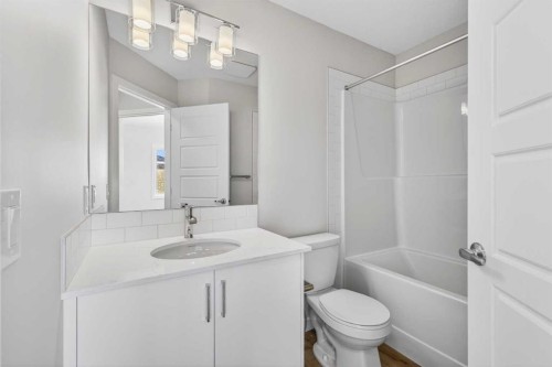 828-132 Red Embers Link Ne, Calgary, AB - Indoor Photo Showing Bathroom