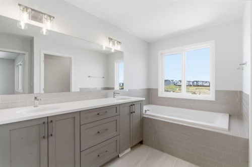 623 Buffaloberry Manor Se, Calgary, AB - Indoor Photo Showing Bathroom