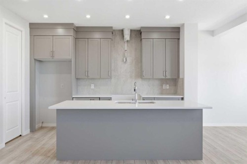 623 Buffaloberry Manor Se, Calgary, AB - Indoor Photo Showing Kitchen