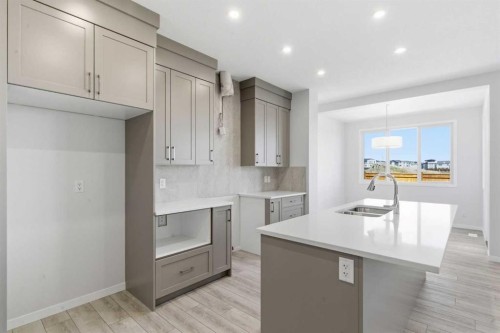 623 Buffaloberry Manor Se, Calgary, AB - Indoor Photo Showing Kitchen With Double Sink