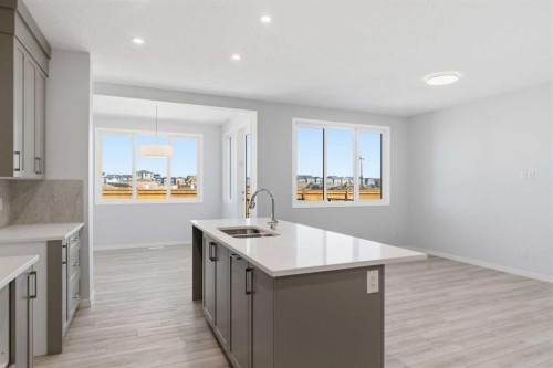 623 Buffaloberry Manor Se, Calgary, AB - Indoor Photo Showing Kitchen With Double Sink