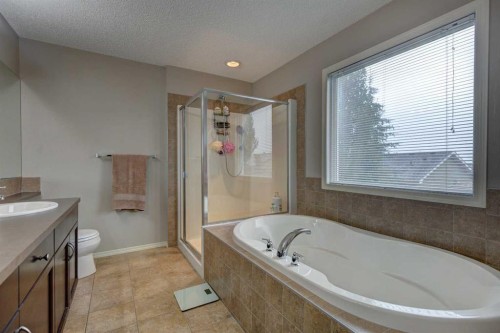 587 Everbrook Way Sw, Calgary, AB - Indoor Photo Showing Bathroom