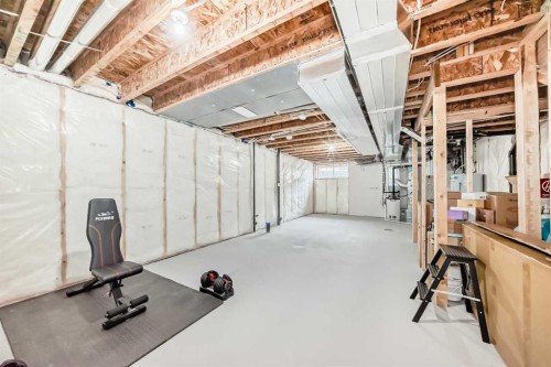 19 Rowley Common Nw, Calgary, AB - Indoor Photo Showing Basement