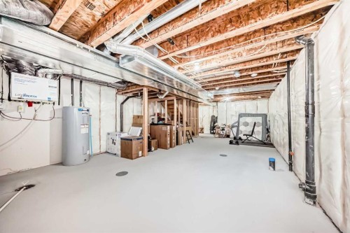 19 Rowley Common Nw, Calgary, AB - Indoor Photo Showing Basement