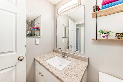 13-1845 Lysander Crescent Se, Calgary, AB - Indoor Photo Showing Bathroom