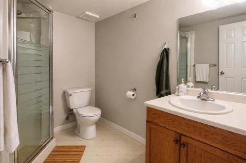 2452 Riverstone Road Se, Calgary, AB - Indoor Photo Showing Bathroom