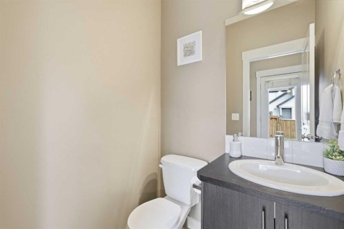 338 Skyview Ranch Road Ne, Calgary, AB - Indoor Photo Showing Bathroom