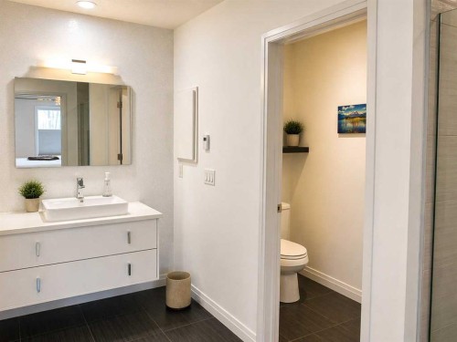 366 Mahogany Boulevard Se, Calgary, AB - Indoor Photo Showing Bathroom