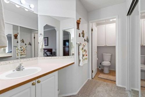 303 De Foras Close Nw, High River, AB - Indoor Photo Showing Bathroom