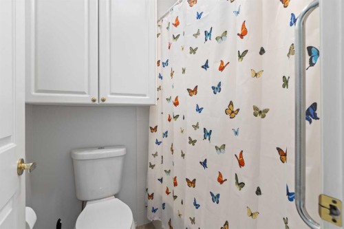 303 De Foras Close Nw, High River, AB - Indoor Photo Showing Bathroom