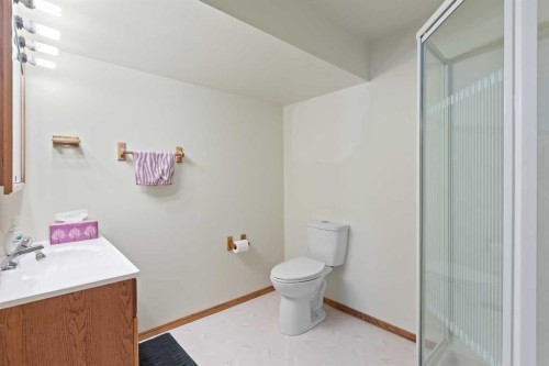 303 De Foras Close Nw, High River, AB - Indoor Photo Showing Bathroom