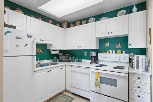 16A-231 Heritage Drive Se, Calgary, AB - Indoor Photo Showing Kitchen With Double Sink