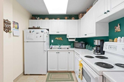16A-231 Heritage Drive Se, Calgary, AB - Indoor Photo Showing Kitchen With Double Sink