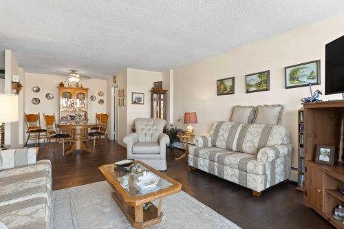 16A-231 Heritage Drive Se, Calgary, AB - Indoor Photo Showing Living Room