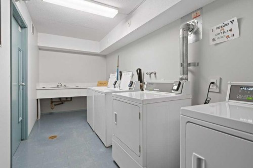 16A-231 Heritage Drive Se, Calgary, AB - Indoor Photo Showing Laundry Room