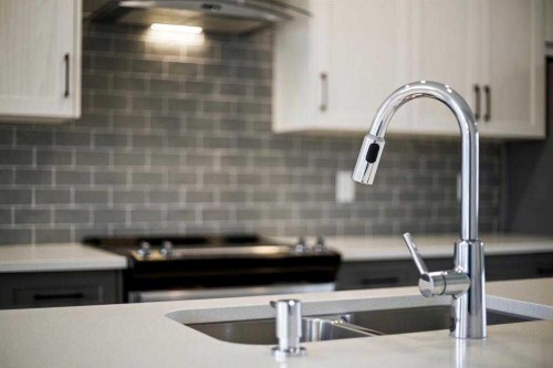 170 Dawson Harbour Rise, Chestermere, AB - Indoor Photo Showing Kitchen With Double Sink