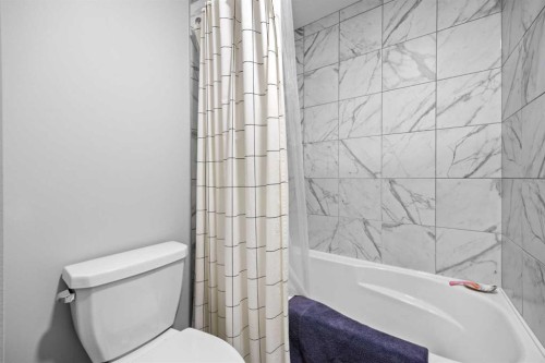 170 Dawson Harbour Rise, Chestermere, AB - Indoor Photo Showing Bathroom
