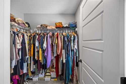 170 Dawson Harbour Rise, Chestermere, AB - Indoor With Storage