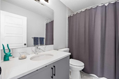 170 Dawson Harbour Rise, Chestermere, AB - Indoor Photo Showing Bathroom