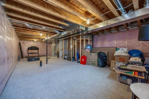 170 Dawson Harbour Rise, Chestermere, AB - Indoor Photo Showing Basement