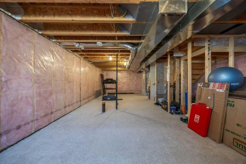 170 Dawson Harbour Rise, Chestermere, AB - Indoor Photo Showing Basement